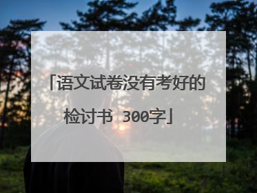 语文试卷没有考好的检讨书 300字