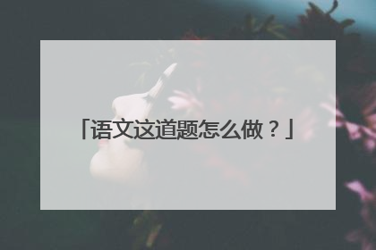 语文这道题怎么做？