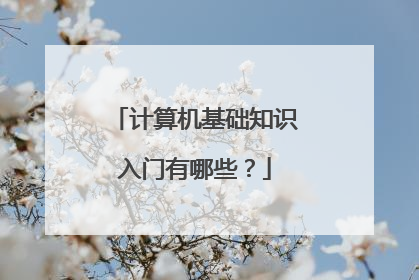 计算机基础知识入门有哪些？