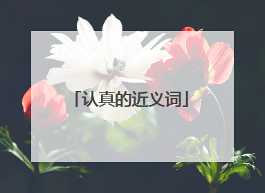 认真的近义词
