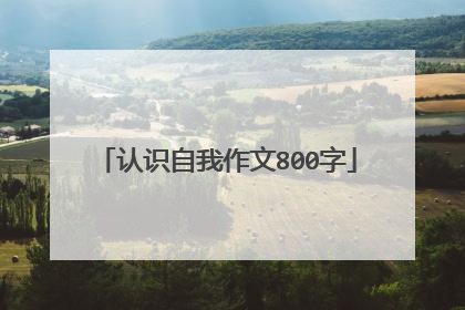 认识自我作文800字