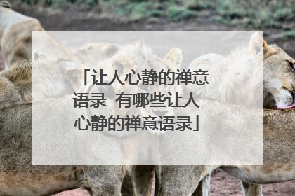 让人心静的禅意语录 有哪些让人心静的禅意语录