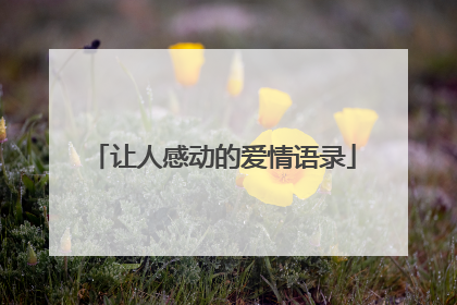 让人感动的爱情语录