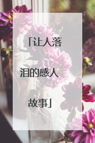 让人落泪的感人故事