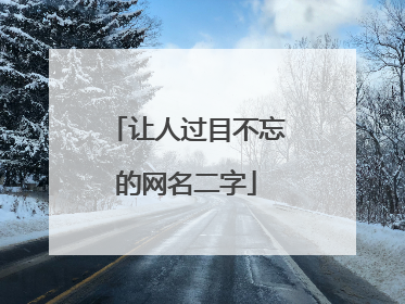 让人过目不忘的网名二字