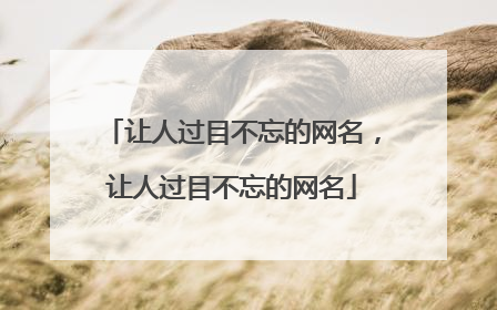 让人过目不忘的网名,让人过目不忘的网名