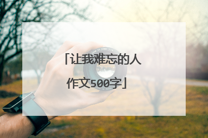 让我难忘的人作文500字