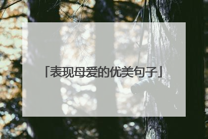 表现母爱的优美句子