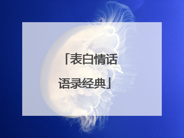 表白情话语录经典