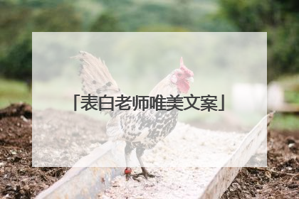 表白老师唯美文案