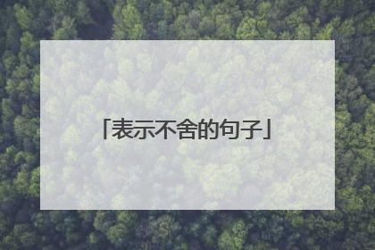 表示不舍的句子