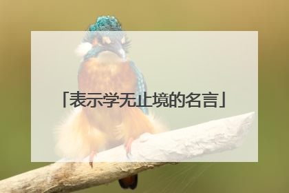 表示学无止境的名言