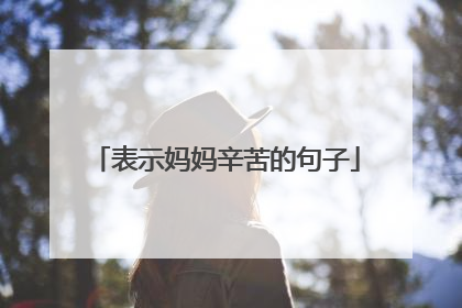 表示妈妈辛苦的句子