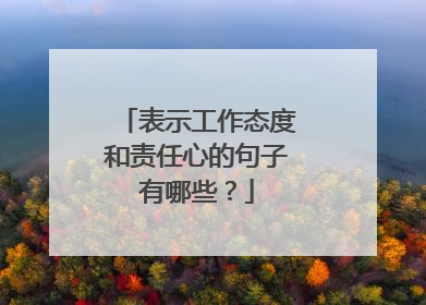 表示工作态度和责任心的句子有哪些?