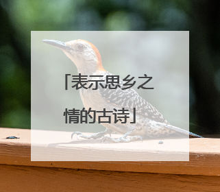 表示思乡之情的古诗