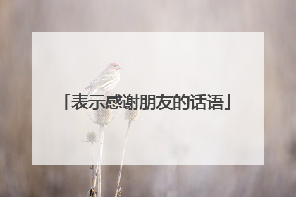 表示感谢朋友的话语