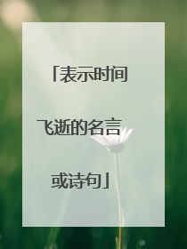 表示时间飞逝的名言或诗句