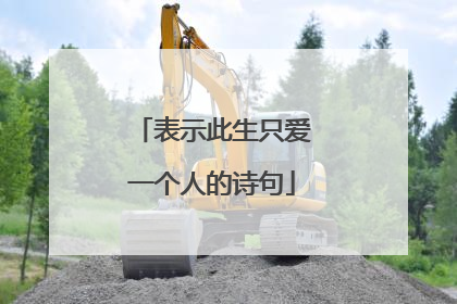 表示此生只爱一个人的诗句