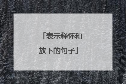 表示释怀和放下的句子