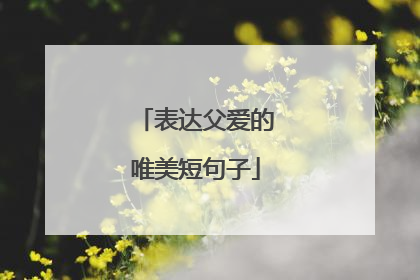 表达父爱的唯美短句子