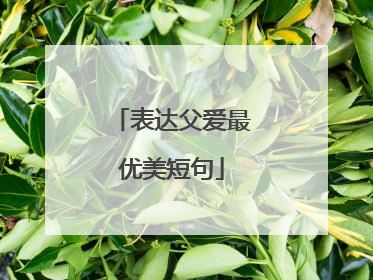 表达父爱最优美短句