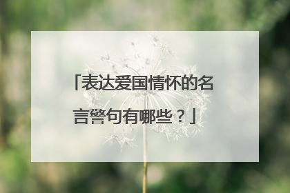 表达爱国情怀的名言警句有哪些？