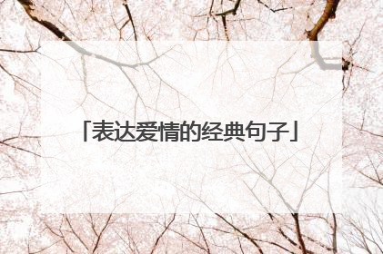 表达爱情的经典句子