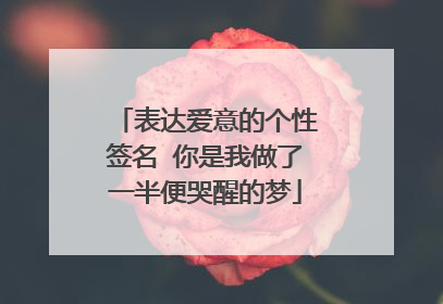 表达爱意的个性签名 你是我做了一半便哭醒的梦