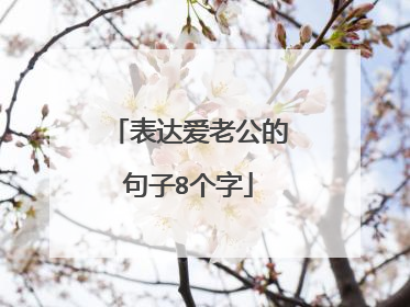 表达爱老公的句子8个字