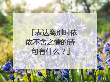 表达离别时依依不舍之情的诗句有什么？