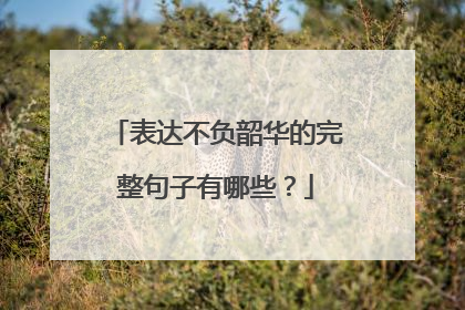 表达不负韶华的完整句子有哪些？