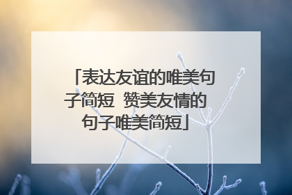 表达友谊的唯美句子简短 赞美友情的句子唯美简短