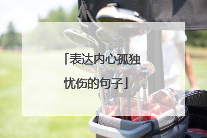 表达内心孤独忧伤的句子