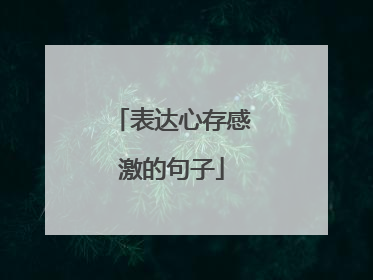 表达心存感激的句子