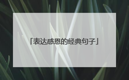 表达感恩的经典句子