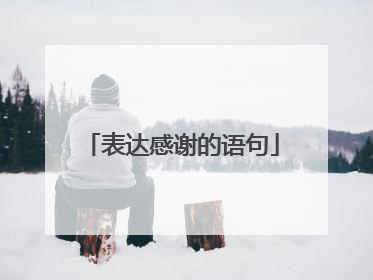 表达感谢的语句