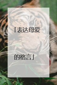 表达母爱的格言