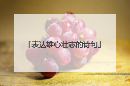 表达雄心壮志的诗句