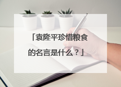 袁隆平珍惜粮食的名言是什么？