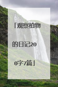 观察植物的日记200字7篇