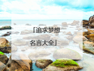 追求梦想名言大全