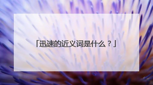 迅速的近义词是什么?