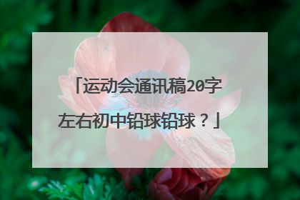 运动会通讯稿20字左右初中铅球铅球？