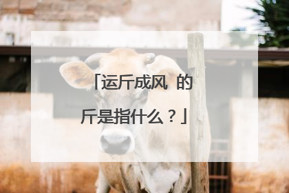 运斤成风 的斤是指什么?