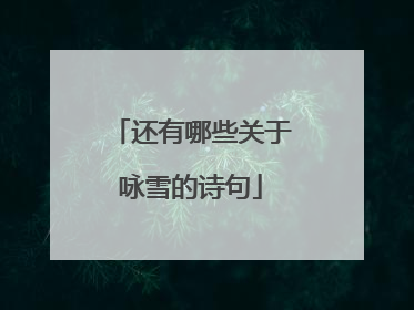 还有哪些关于咏雪的诗句