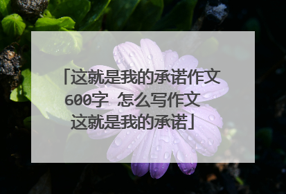 这就是我的承诺作文600字 怎么写作文这就是我的承诺