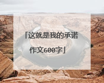 这就是我的承诺作文600字