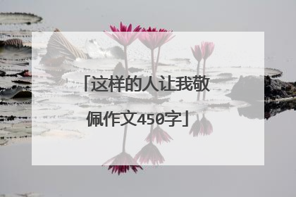 这样的人让我敬佩作文450字