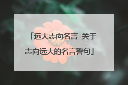 远大志向名言 关于志向远大的名言警句