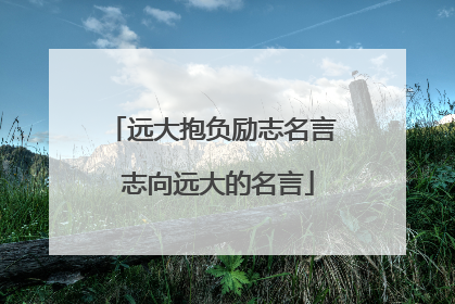 远大抱负励志名言 志向远大的名言